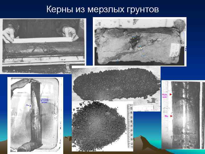 Керны из мерзлых грунтов 