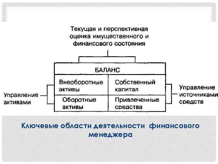 Ключевые области деятельности финансового менеджера 