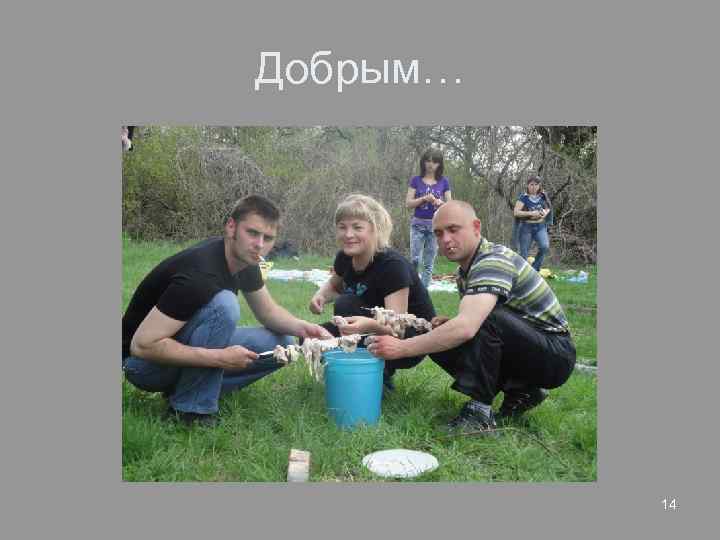 Добрым… 14 
