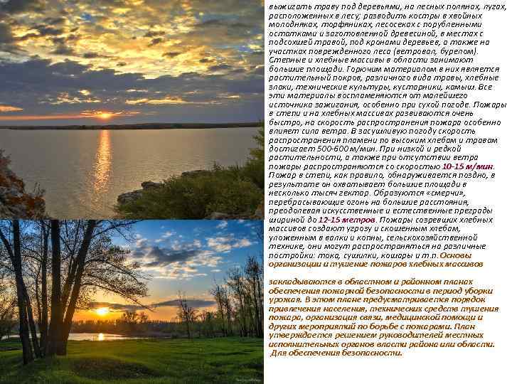 выжигать траву под деревьями, на лесных полянах, лугах, расположенных в лесу; разводить костры в