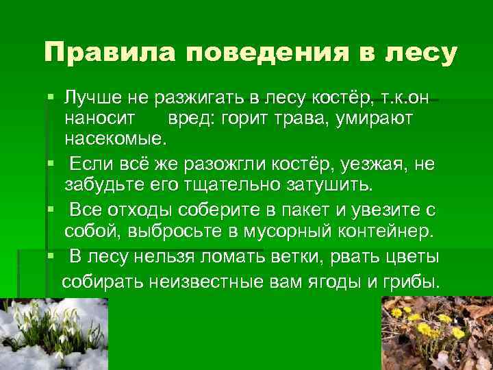 Правила поведения в лесу § Лучше не разжигать в лесу костёр, т. к. он