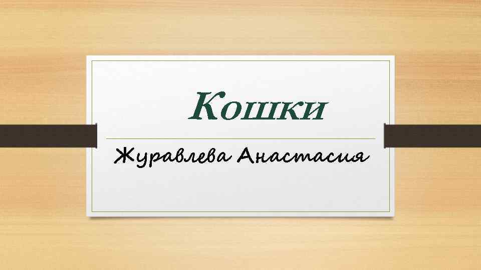 Кошки Журавлева Анастасия 