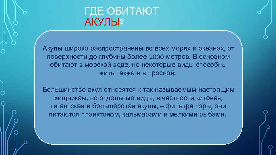 ГДЕ ОБИТАЮТ АКУЛЫ? Акулы широко распространены во всех морях и океанах, от поверхности до