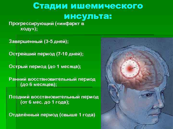 Стадии ишемического инсульта: Прогрессирующий ( «инфаркт в ходу» ); Завершенный (3 -5 дней); Острейший