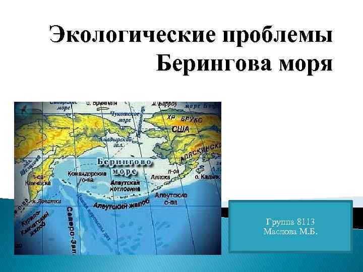 Экологические проблемы Берингова моря Группа 8113 Маслова М. Б. 