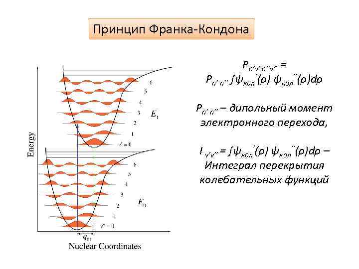 Принцип франка кондона