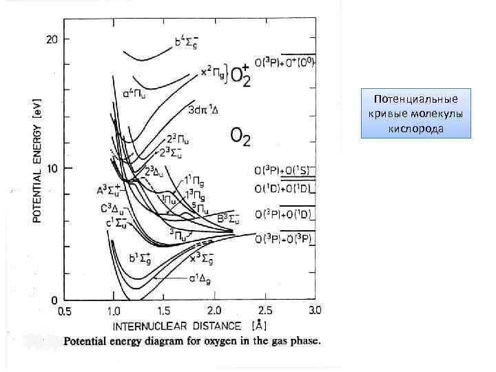 Потенциальные кривые молекулы кислорода 