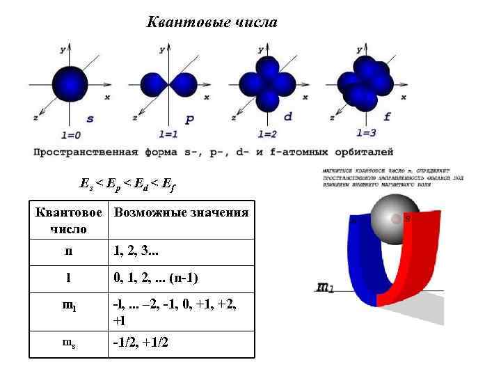 Квантовые числа Es < Ep < Ed < Ef Квантовое Возможные значения число n
