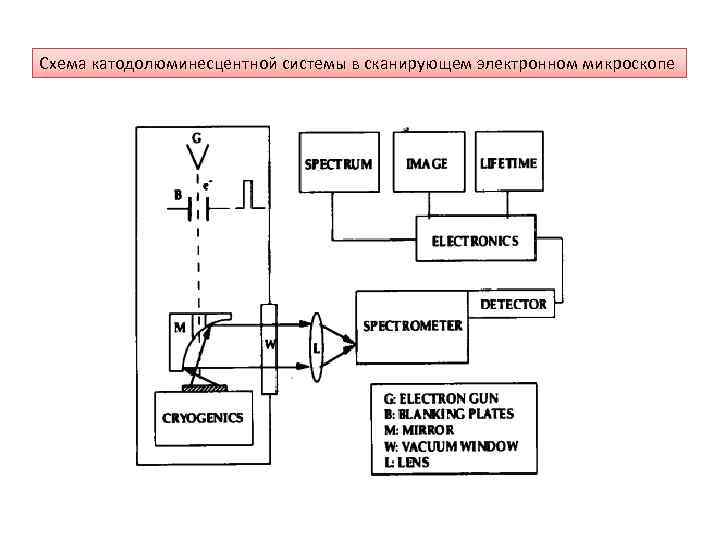 Схема катодолюминесцентной системы в сканирующем электронном микроскопе 