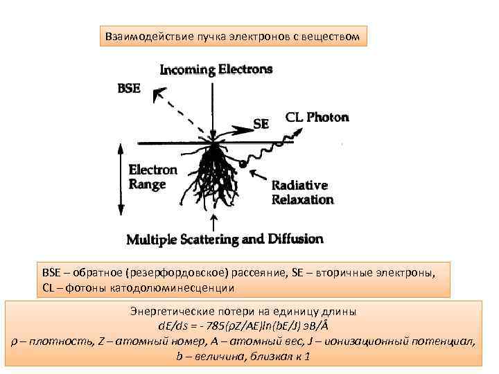 Взаимодействие пучка электронов с веществом BSE – обратное (резерфордовское) рассеяние, SE – вторичные электроны,