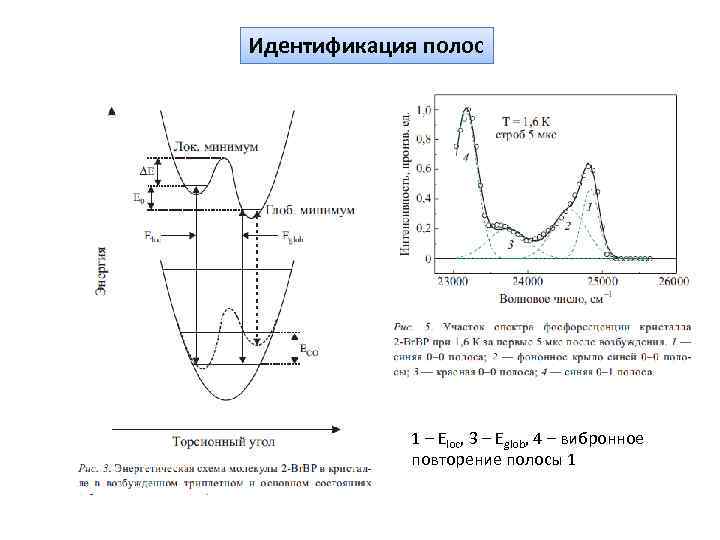 Идентификация полос 1 – Еloc, 3 – Eglob, 4 – вибронное повторение полосы 1