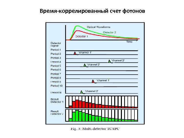 Время-коррелированный счет фотонов 
