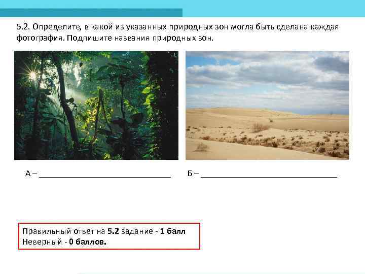 5. 2. Определите, в какой из указанных природных зон могла быть сделана каждая фотография.