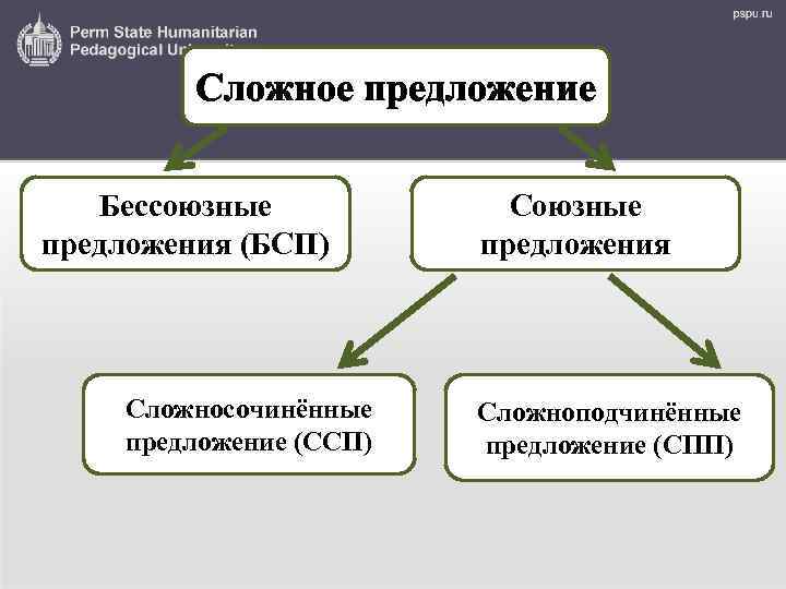 Сложное предложение Бессоюзные предложения (БСП) Сложносочинённые предложение (ССП) Союзные предложения Сложноподчинённые предложение (СПП) 