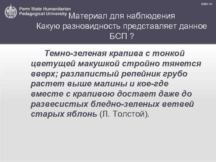 Материал для наблюдения Какую разновидность представляет данное БСП ? Темно-зеленая крапива с тонкой цветущей