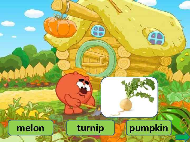 melon turnip pumpkin 