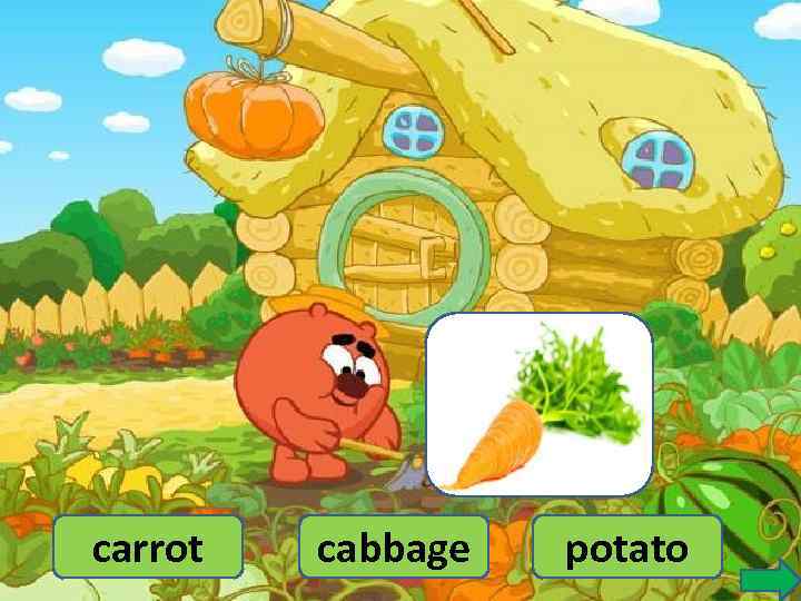 carrot cabbage potato 