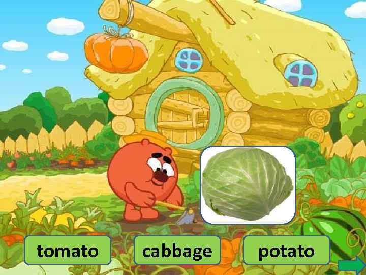 tomato cabbage potato 
