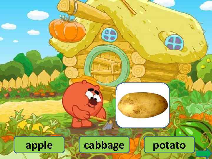 apple cabbage potato 