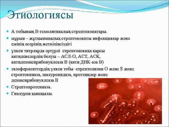 Этиологиясы А тобының В-гемолитикалық стрептококктары. мұрын – жұтқыншақтық стрептококкты инфекциялар және емінің әсерінің жеткіліксіздігі