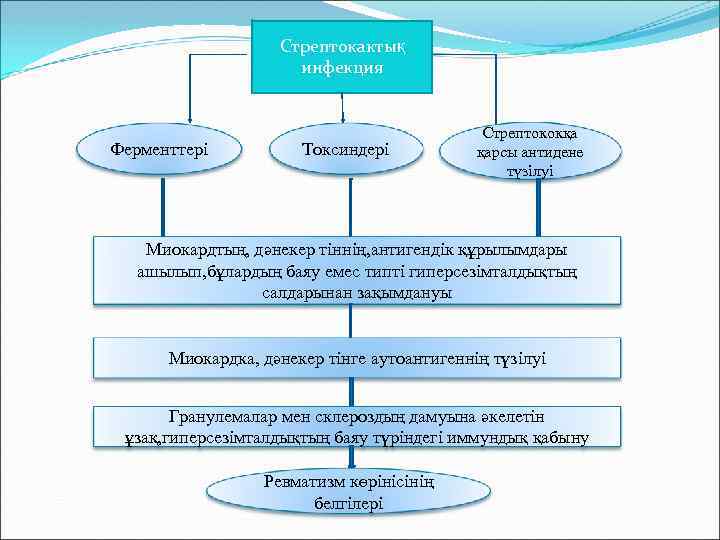 Стрептокактық инфекция Ферменттері Токсиндері Стрептококқа қарсы антидене түзілуі Миокардтың, дәнекер тіннің, антигендік құрылымдары ашылып,