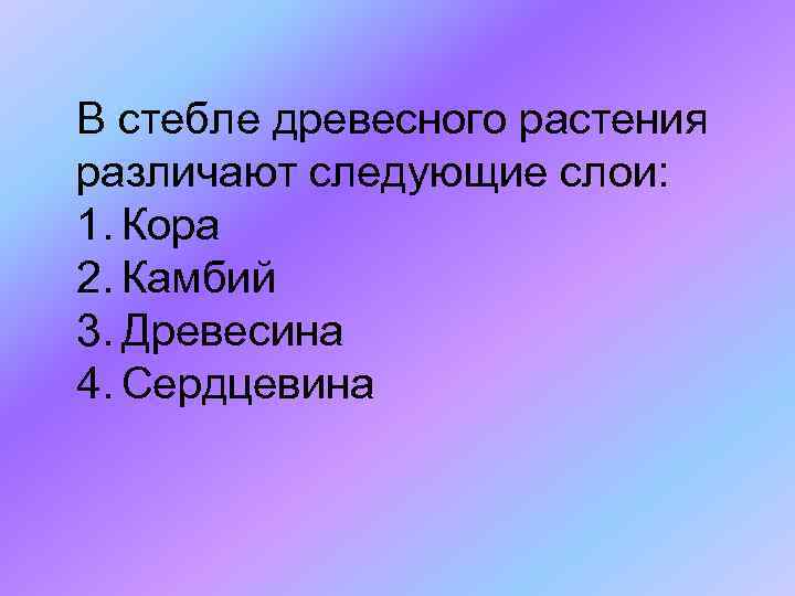 В стебле древесного растения различают следующие слои: 1. Кора 2. Камбий 3. Древесина 4.