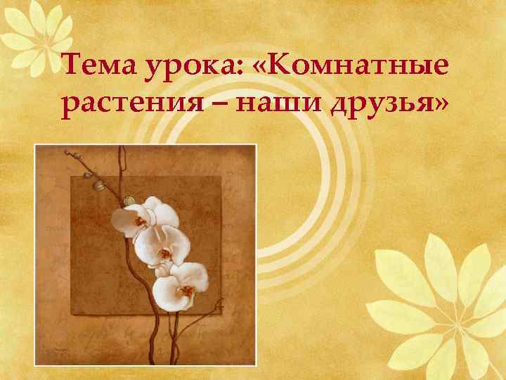 Тема урока: «Комнатные растения – наши друзья» 