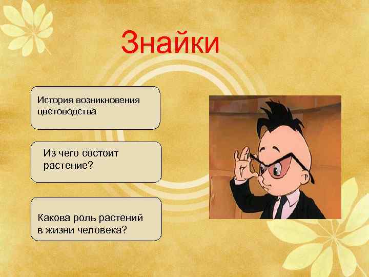 Знайки История возникновения цветоводства Из чего состоит растение? Какова роль растений в жизни человека?