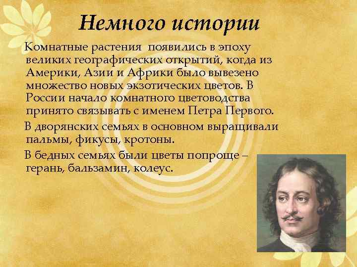Немного истории Комнатные растения появились в эпоху великих географических открытий, когда из Америки, Азии