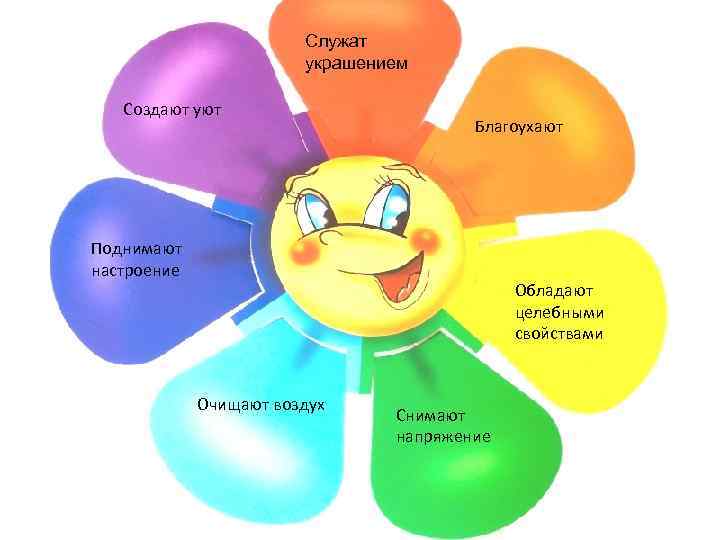 Служат украшением Создают уют Благоухают Поднимают настроение Обладают целебными свойствами Очищают воздух Снимают напряжение