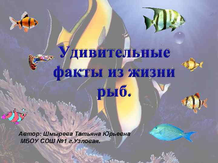 Удивительные факты из жизни рыб. Автор: Шмырева Татьяна Юрьевна МБОУ СОШ № 1 г.