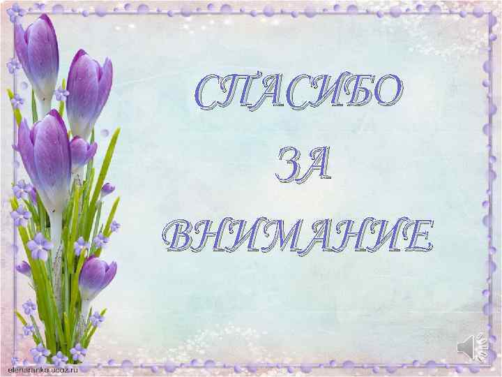 СПАСИБО ЗА ВНИМАНИЕ 