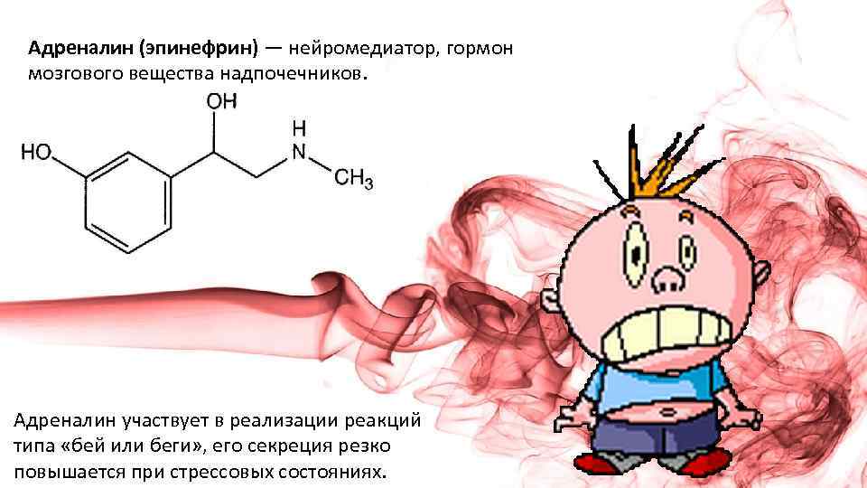 Адреналин (эпинефрин) — нейромедиатор, гормон мозгового вещества надпочечников. Адреналин участвует в реализации реакций типа