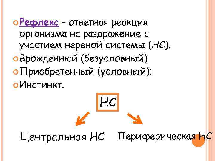  Рефлекс – ответная реакция организма на раздражение с участием нервной системы (НС). Врожденный