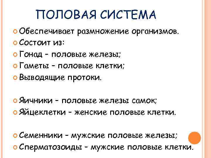 ПОЛОВАЯ СИСТЕМА Обеспечивает размножение организмов. Состоит из: Гонад – половые железы; Гаметы – половые