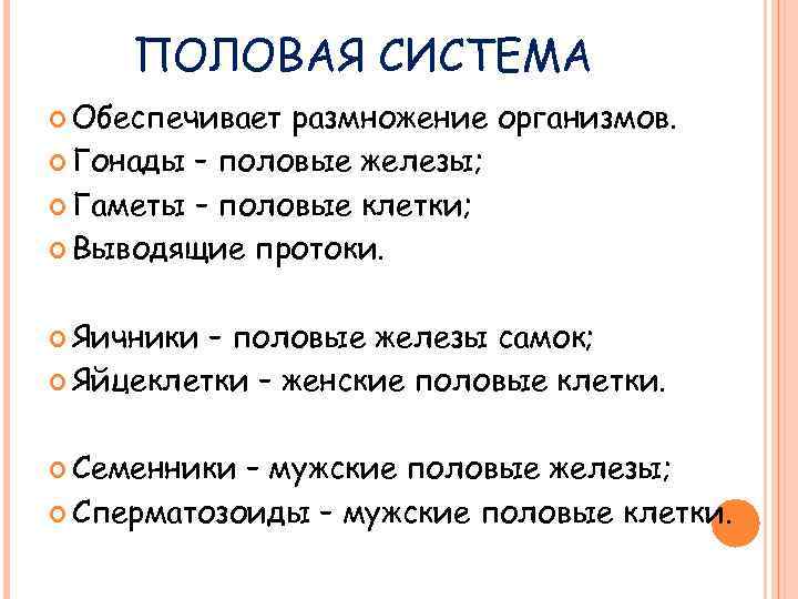 ПОЛОВАЯ СИСТЕМА Обеспечивает размножение организмов. Гонады – половые железы; Гаметы – половые клетки; Выводящие