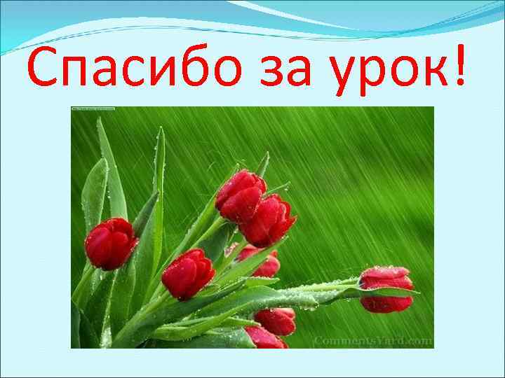 Спасибо за урок! 