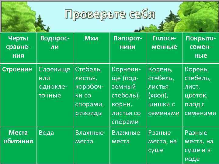 Проверьте себя Черты сравнения Водоросли Мхи Папоротники Голосеменные Покрытосеменные Строение Слоевище или одноклеточные Стебель,