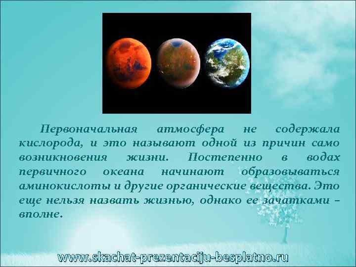 Первоначальная атмосфера не содержала кислорода, и это называют одной из причин само возникновения жизни.