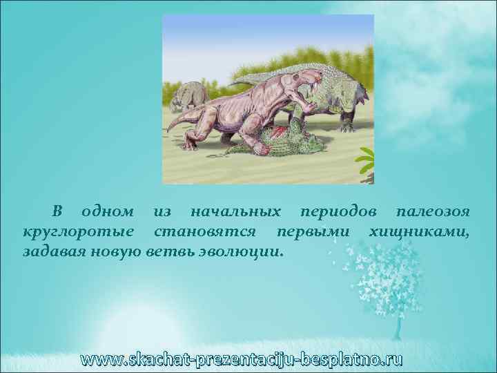 В одном из начальных периодов палеозоя круглоротые становятся первыми хищниками, задавая новую ветвь эволюции.