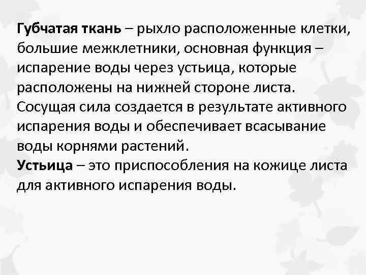 Губчатая ткань – рыхло расположенные клетки, большие межклетники, основная функция – испарение воды через