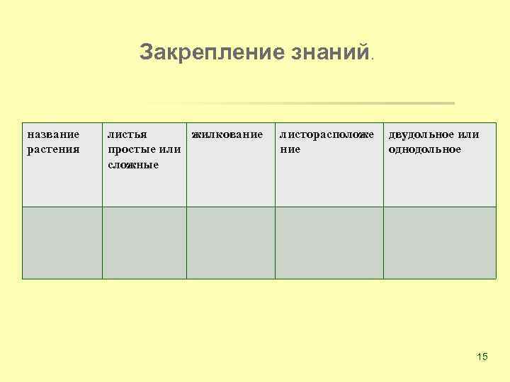 Закрепление знаний. название растения листья жилкование простые или сложные листорасположе ние двудольное или однодольное