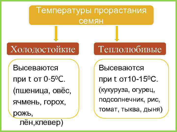 Температуры прорастания семян Холодостойкие Теплолюбивые Высеваются при t от 0 -50 C. (пшеница, овёс,