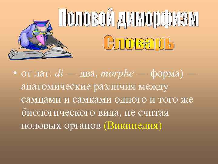  • от лат. di — два, morphe — форма) — анатомические различия между