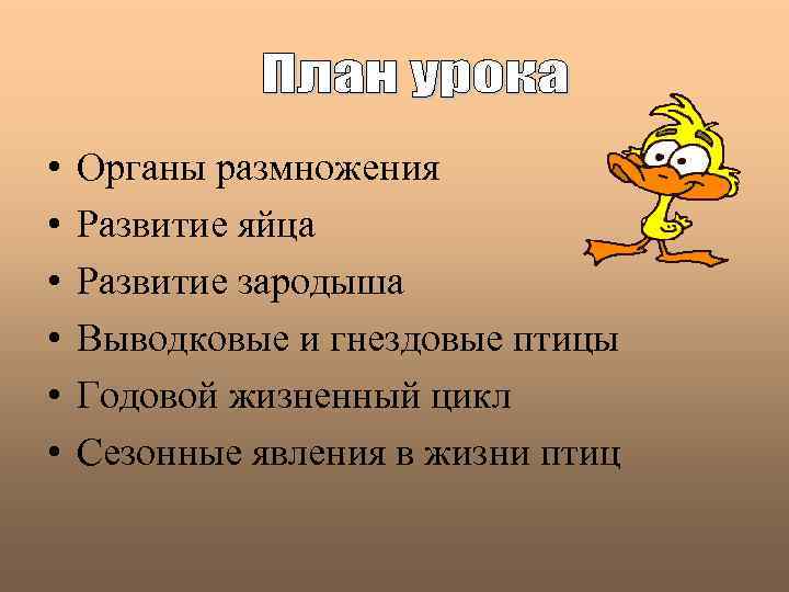  • • • Органы размножения Развитие яйца Развитие зародыша Выводковые и гнездовые птицы