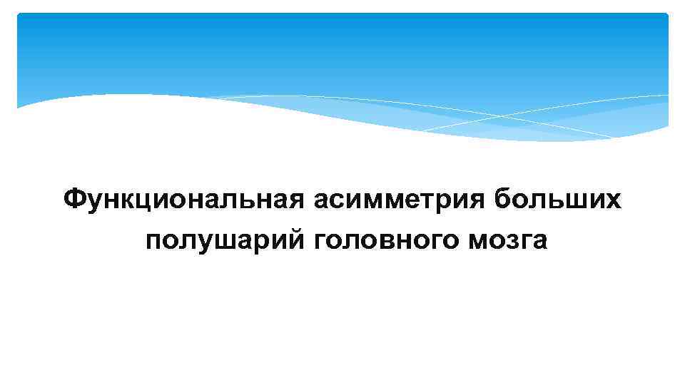 Функциональная асимметрия больших полушарий головного мозга 