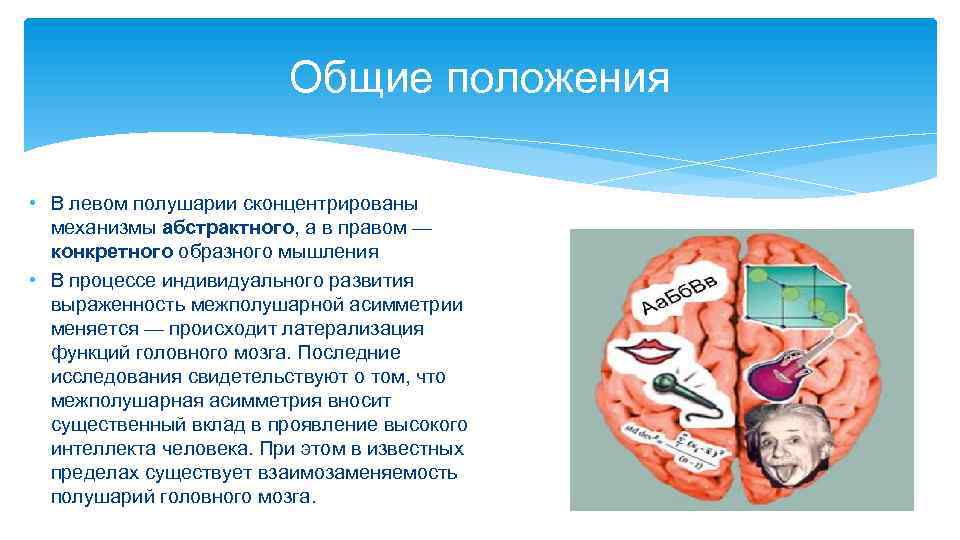 Общие положения • В левом полушарии сконцентрированы механизмы абстрактного, а в правом — конкретного