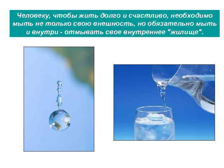Человеку, чтобы жить долго и счастливо, необходимо мыть не только свою внешность, но обязательно
