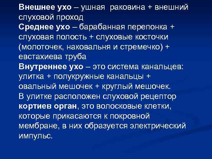 Внешнее ухо – ушная раковина + внешний слуховой проход Среднее ухо – барабанная перепонка