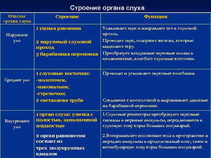 Строение органа слуха Отделы органа слуха Строение Функции 1 ушная раковина Наружное ухо Среднее